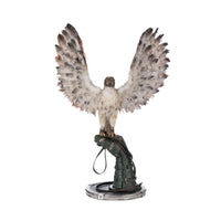 Argon Hawking on Perch 28-528705