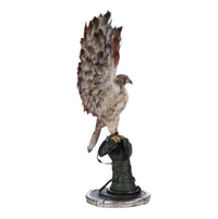 right+side+view+Katherines+Collection+Chaotic+Concoctions+Argon+Hawking+on+Perch+28-528705