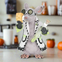 front+view+Katherines+Collection+Chaotic+Concoctions+Einstein+the+Lab+Rat+Tabletop+Figurine+28-528696