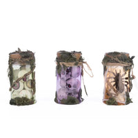 Katherine's Collection Broomstick Acres potion jars set of 3 – SKU 28-428172, GTIN 810074127202