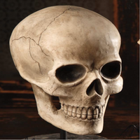 Bethany Lowe Skelton Skull TD0570