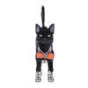 front+view+of+28-528662+Katherines+Collection+the+Macabre+Family+Skin+the+Cat+Halloween+Decor