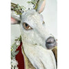 view-of-bust-Katherines-collection-Mistletoe-Magic-Deer-Wall-Plaque-28-228613