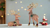 katherines-collection-christmas-castle-deer-assortment-28-428542