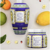rudy-profumi-sicilian-lemon-body-cream-and-bath-and-shower-gel