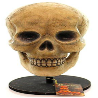 Bethany Lowe Skelton Skull TD0570